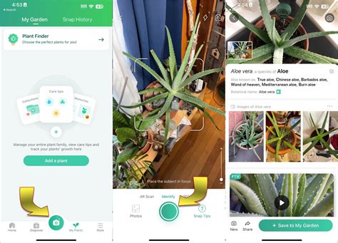 植物查詢|PictureThis App